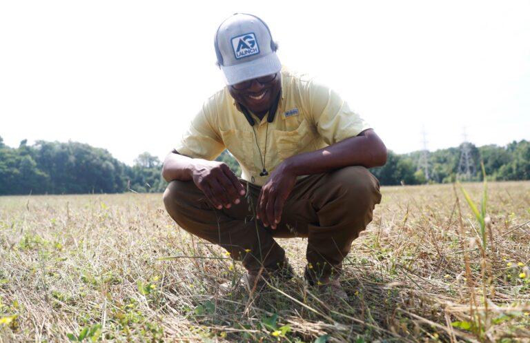 Growing organic food is more difficult in the South. These farmers do it anyway.