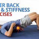 INSTANT RELIEF from Lower Back Pain and Stiffness (4 EASY Exercises!)