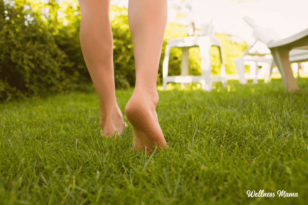 Proven Natural Remedies for Chigger Bites (& How to Avoid)