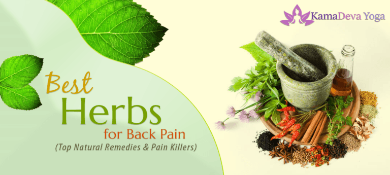 Best Herbs for Back Pain (Top Natural Remedies & Pain Killers)