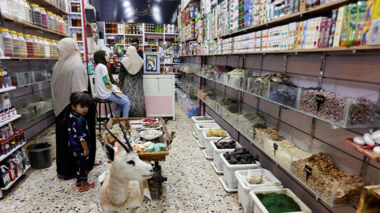 Iraqi residents turn to natural remedies as health care becomes unaffordable | Fox News