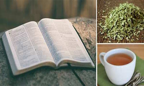 This 3500-Year-Old Powerful & Natural Cure Found in The Bible Treats So Many Diseases