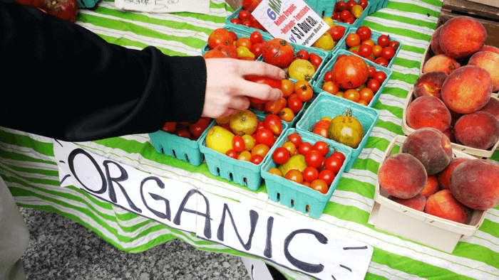 Viewpoint: ‘It’s time for transparency’ — How promoting alleged benefits of organic food misleads shoppers and undermines our farm system - Genetic Literacy Project