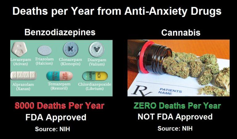 Cannabis: The “Gateway Drug” Leading AWAY from Prescription Drug Addiction
