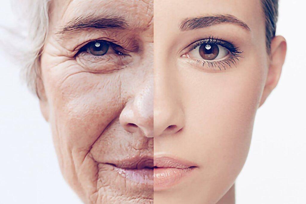 Top 3 Best NMN Supplements For Anti-Aging Benefits: Strongest Brands Reviewed | Kent Reporter
