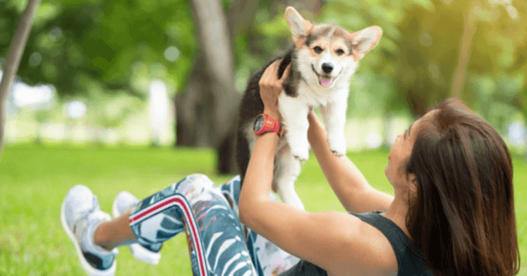 Puppy Yoga: Benefits and Everything You Need to Know - The Yoga Nomads
