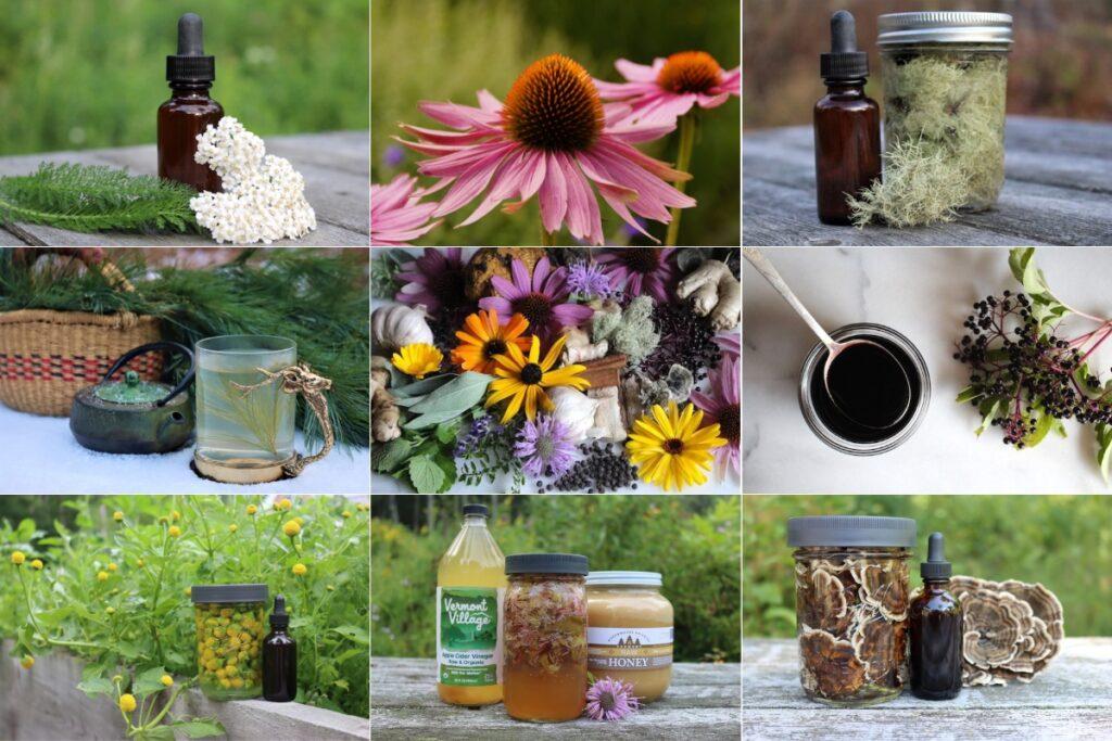 16+ Natural Remedies for Cold and Flu