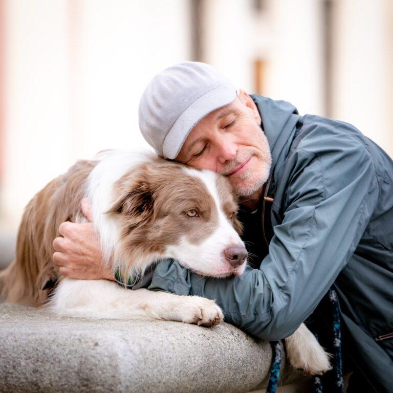 A holistic approach to dog wellness: Easy steps to a healthier, longer – Dr. Dobias Natural Healing