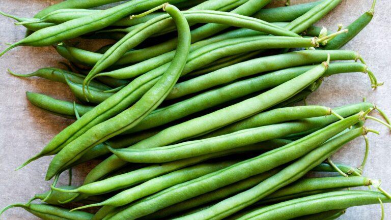 The Nutritional Benefits of Green Beans: Bone Health, Immune Support, and More