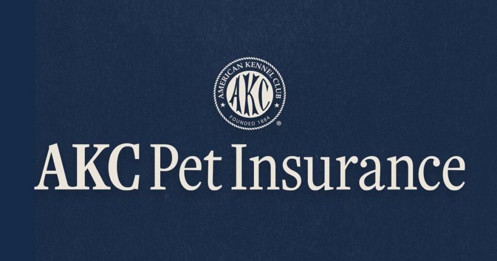 5 Natural Remedies to Help Your Itchy Dog | AKC Pet Insurance