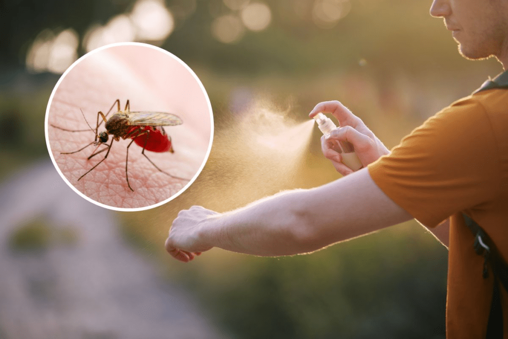 How to keep mosquitoes away with these 5 natural remedies | Messenger Newspapers