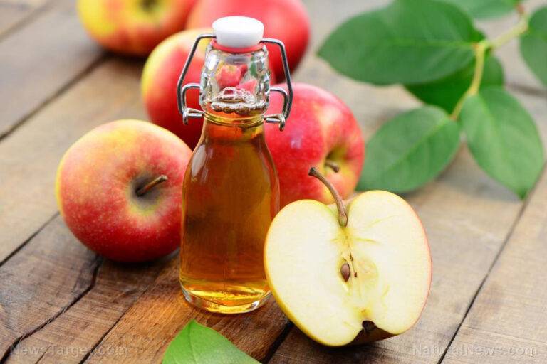 Natural healing: A warming apple cider vinegar recipe that helps boost your immune health – NaturalNews.com