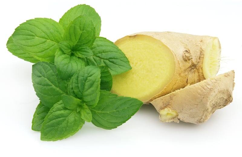 13 Natural Remedies for Stomach Ache & Discomfort - BioTrust