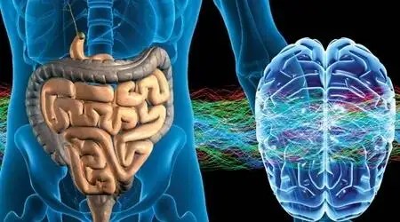 The Gut-Brain Axis: Managing Inflammation In The Gut Is Crucial For Both Gastrointestinal And Mental Health | Holistic Health Online
