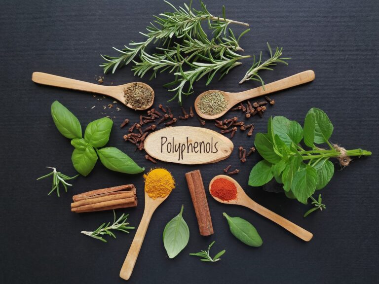 Spicing up health: How culinary herbs and spices may boost gut health through polyphenols