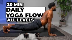 20 Min Daily Yoga Flow | Full Body Yoga For All Levels