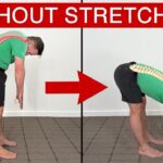 Fix TIGHT Hamstrings & Lower Back Pain | 2 SIMPLE Exercises
