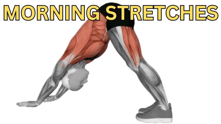 Morning Stretching Exercises You Should Do Every Morning!