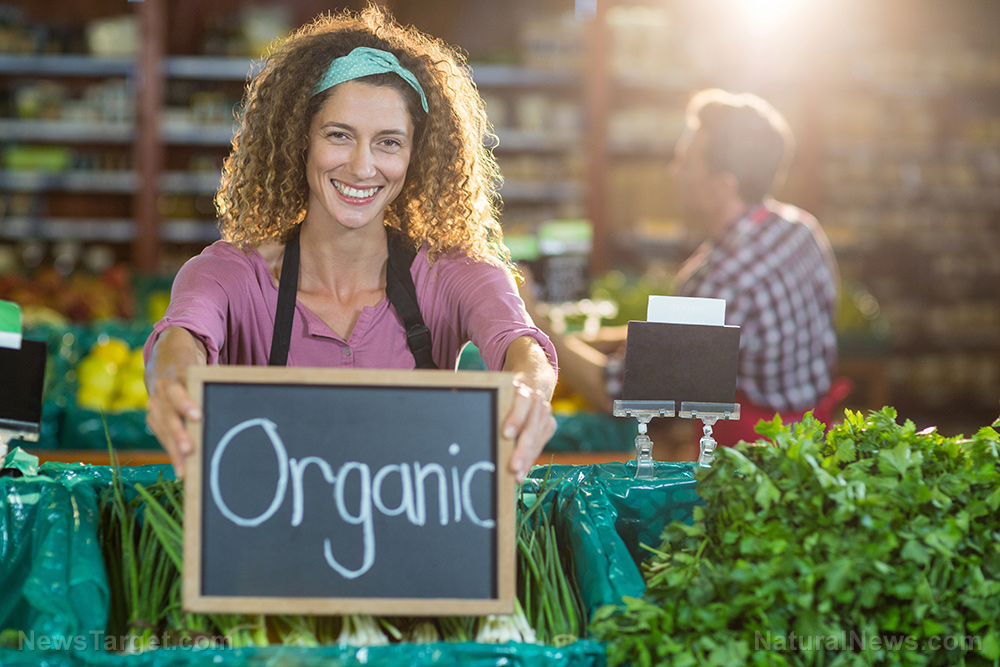 The TOTAL COST of being SICK from conventional food vs. the “higher” price of organic food that yields much better health and immunity – NaturalNews.com