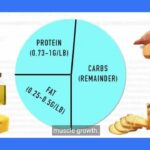 The Ultimate Guide to an Optimal Muscle Building Diet | Bodybuilding Meal Plan for Beginners