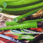 wellhealthorganic home remedies tag : Natural remedies for everyday illnesses