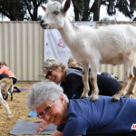 Goat Yoga fundraiser to benefit United Way of Lamar County - MyParisTexas