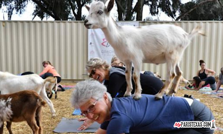 Goat Yoga fundraiser to benefit United Way of Lamar County - MyParisTexas