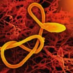 a close up of a cell phone with a yellow cord