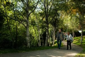 Two adults walking together along a paved path through birch trees