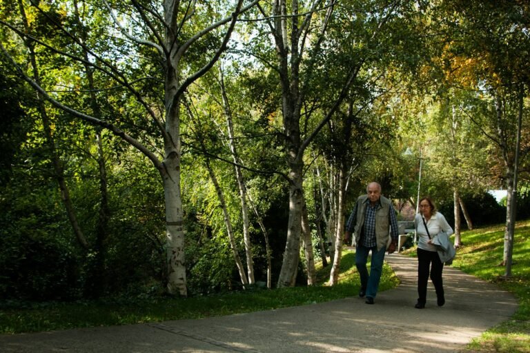 Two adults walking together along a paved path through birch trees