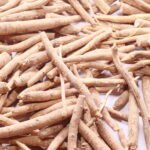 Dried ashwagandha (Withania somnifera) roots