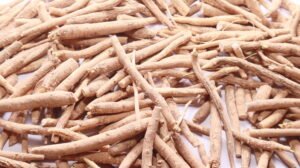Dried ashwagandha (Withania somnifera) roots