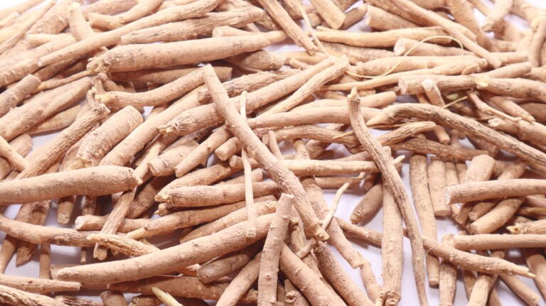 Dried ashwagandha (Withania somnifera) roots