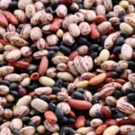 Assorted colorful dried beans, a top source of dietary fiber