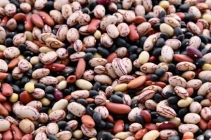 Assorted colorful dried beans, a top source of dietary fiber