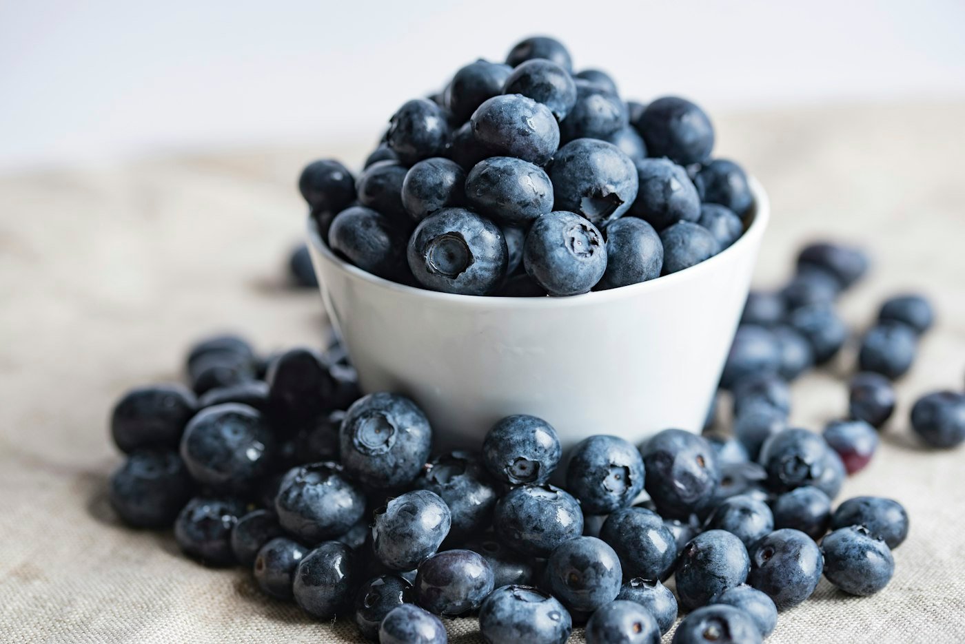Blueberries in a white ceramic bowl