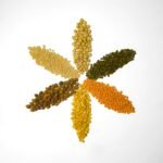 Six piles of different dried beans and lentils arranged in a flower shape