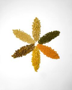 Six piles of different dried beans and lentils arranged in a flower shape