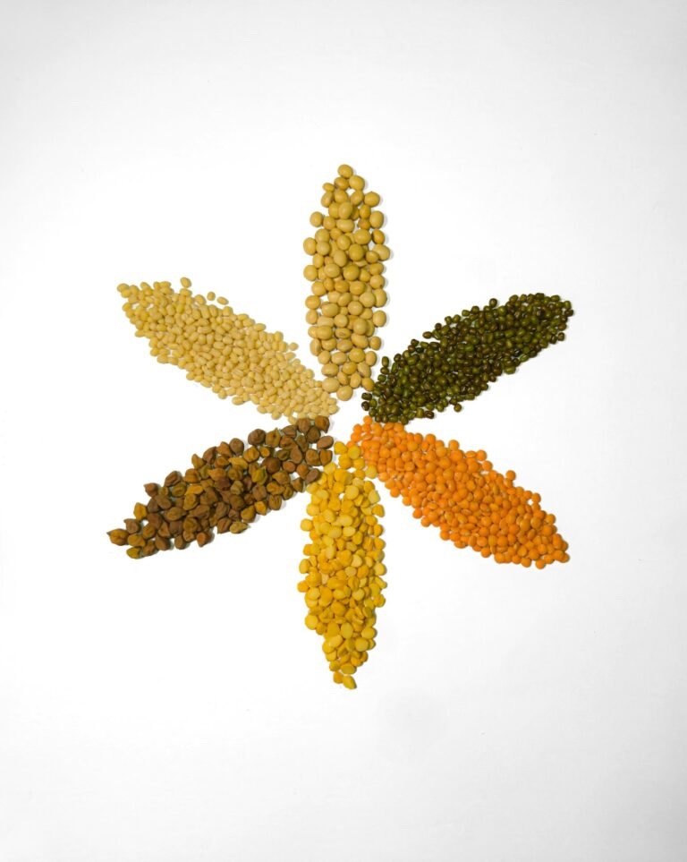 Six piles of different dried beans and lentils arranged in a flower shape