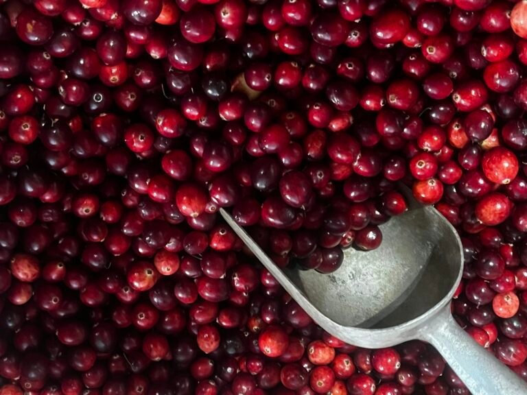 A scoop of fresh red cranberries on a table
