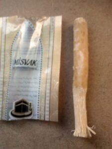 Miswak chewing sticks made from the Salvadora persica tree