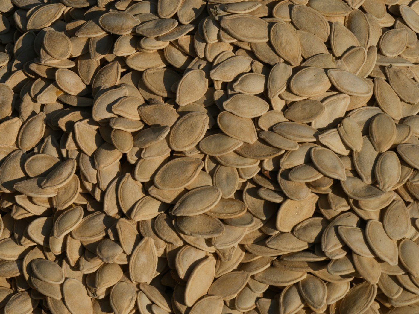 A pile of hulled green pumpkin seeds on a table