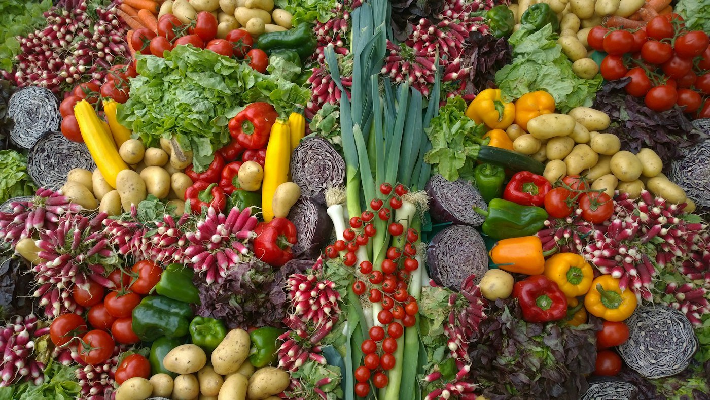 Colorful variety of fresh whole vegetables